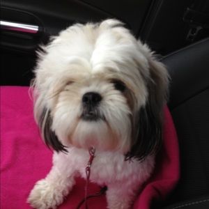 Meet your Posher, Heather